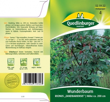 Wunderbaum, Ricinus 